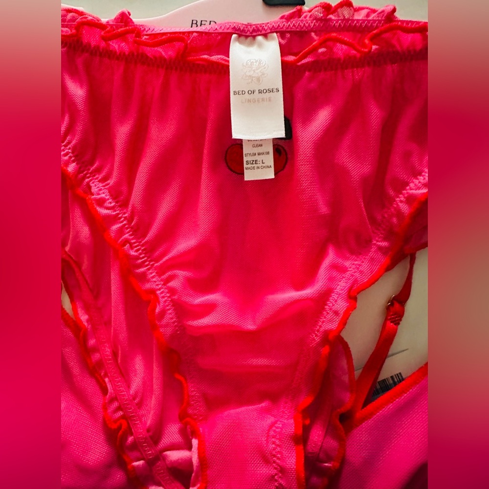 Bed of Roses Bralette Set Lingerie Sexy Cherry Red Embroidered Pink Sz Large NWT - Picture 6 of 6